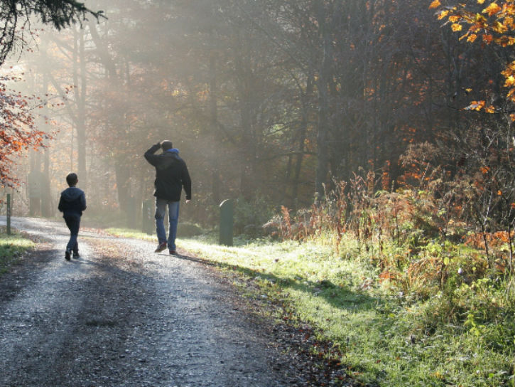 Hamsterley Forest